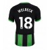 Maillot de foot Brighton Danny Welbeck #18 Troisième vêtements 2024-25 Manches Courtes